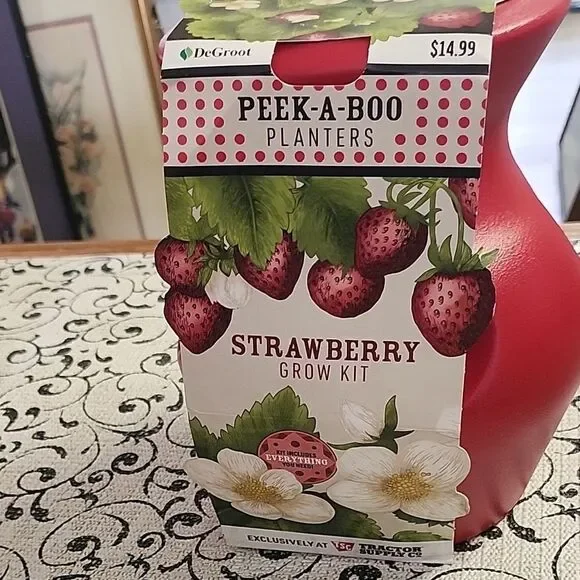 Strawberry Grow Kit - Red - Picture 1 of 6